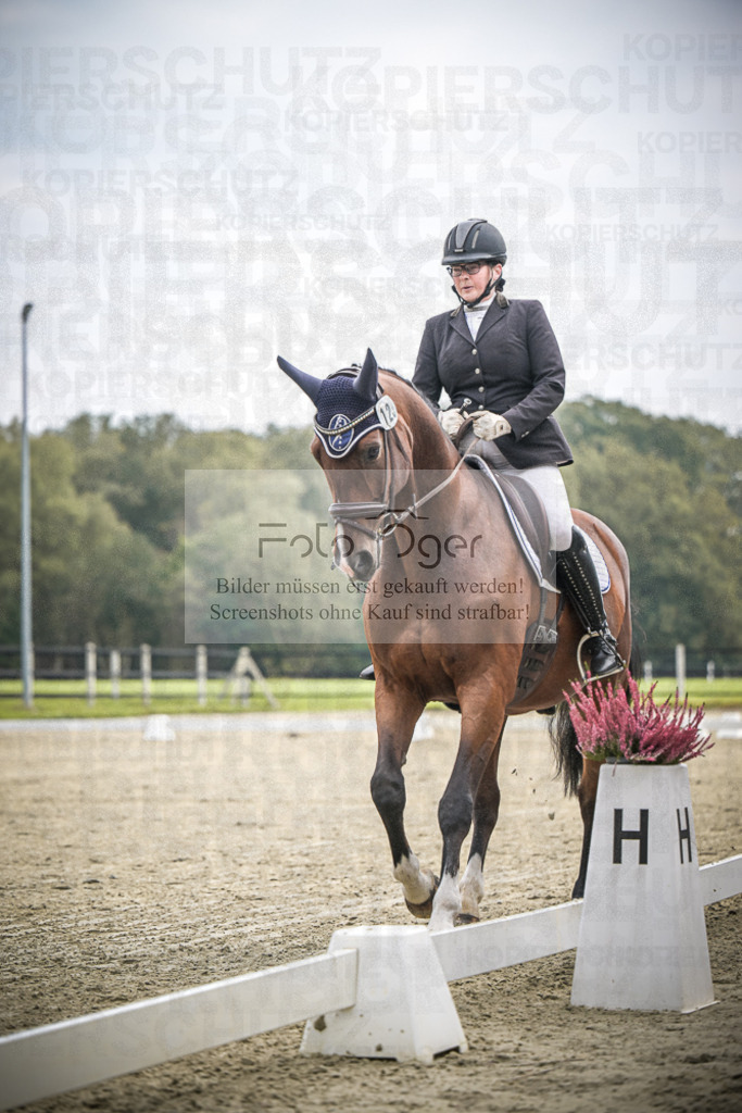 DOS_B489 | Entdecke hochwertige Reitturnierfotos von Foto Oger. Professionell, emotional und authentisch – jetzt Lieblingsmomente im Shop bestellen.Deutschlandweite Turnierfotografie. - Realisiert mit Pictrs.com