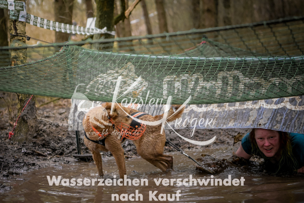 0915_ZZ96910 | kk-dogfotos