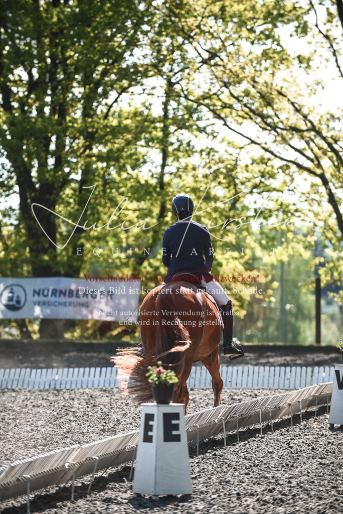 DSC_8832 | Pferde- und Turnierfotografie in Westsachsen. Pferdeportraits, Auftragszeichnungen und intuitive Kunst.