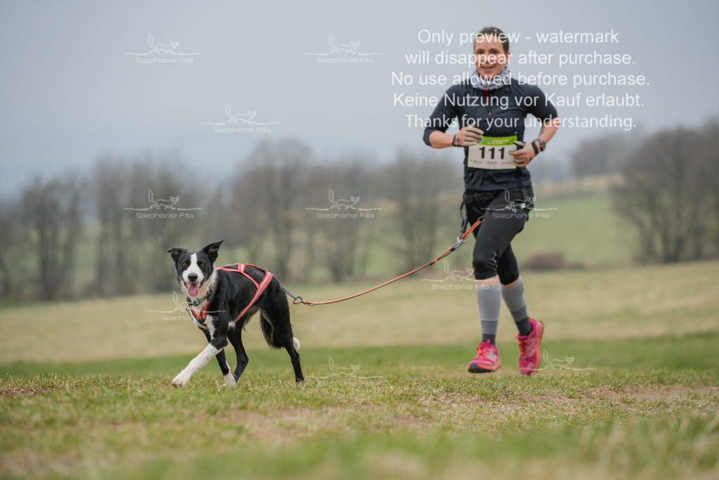 Canixlong-35 | stephaniefillaphotographie - Realisiert mit Pictrs.com