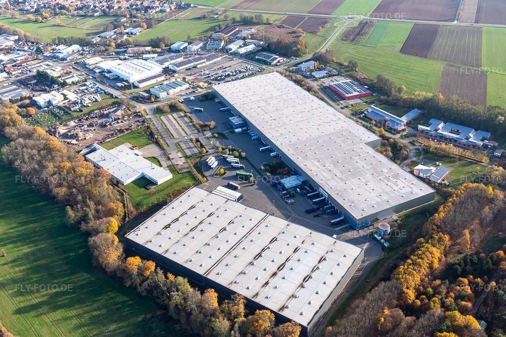Luftbild: Gewerbegebiet Horst mit Magna Exteriors, Zufall Logistics, STS Group und Thermo Fisher im Ortsteil Minderslachen in Kandel im Bundesland Rheinland-Pfalz in Deutschland. Foto: IMG_123855.jpg vom 21.11.2020 durch Werner Riehm/FLY-FOTO.de