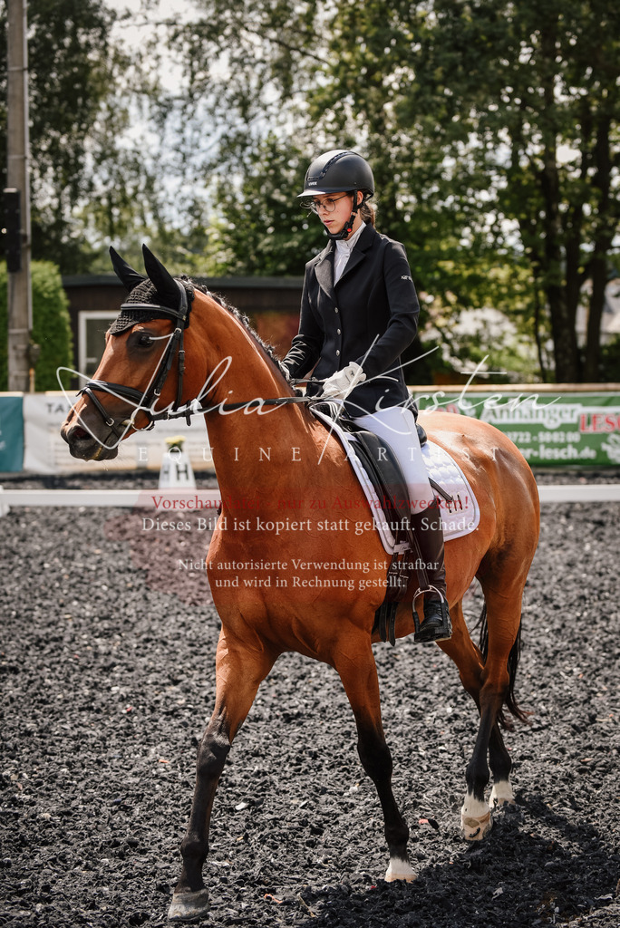 DSC_4342 | Pferde- und Turnierfotografie in Westsachsen. Pferdeportraits, Auftragszeichnungen und intuitive Kunst.