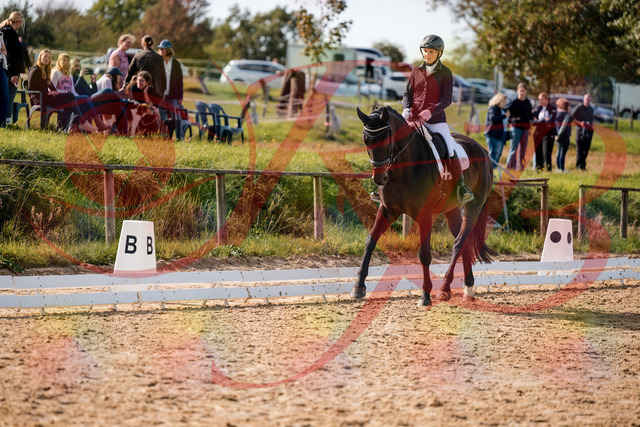 2026_10_03_Siefer-Hof_133447_Z63_93403564 | Professionelle Reitsport-, Turnier- und Eventfotografie von Robert Broda. Galerien mit ausgewählten und bearbeiteten Bildern direkt online ansehen und bestellen.