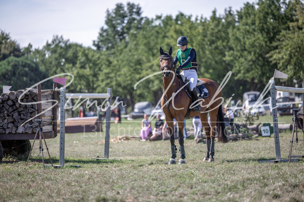 20260906-_3LI5540 | Tierfotografie Pferde, Hunde, Katzen, Haustiere.
Turnierfotografie Reitturniere, Reiten, Springreiten, Dressur in Hanau, dem Main-Kinzig-Kreis und dem Rhein-Main- Gebiet um Frankfurt
