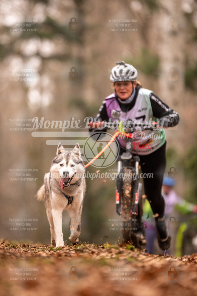 AKM_ST_2023_SAM_Scooter-93 | PayLife