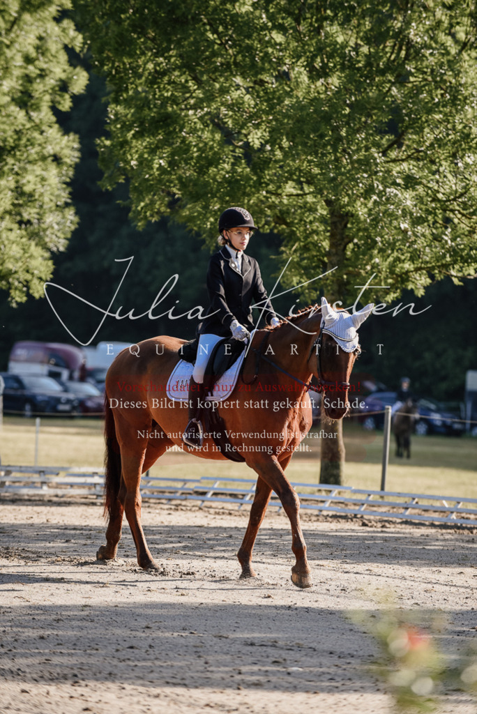 DSC_7682 | Pferde- und Turnierfotografie in Westsachsen. Pferdeportraits, Auftragszeichnungen und intuitive Kunst.