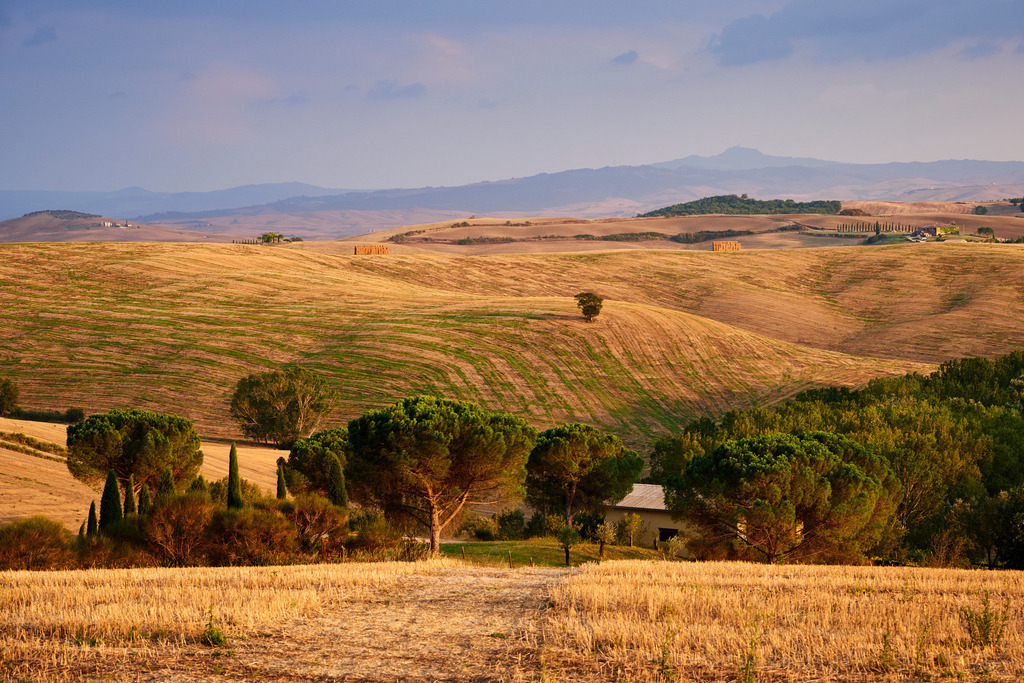 Toskana Landschaft im Abendlicht | San Quirico d'Orcia, Italien - September 07, 2016: Toskana Landschaft im Abendlicht. - Realisiert mit Pictrs.com