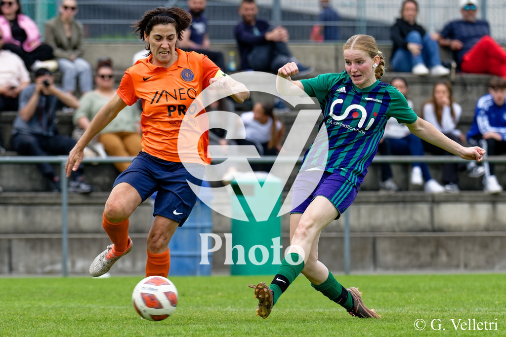 DSC_5215 | Velletri Photo