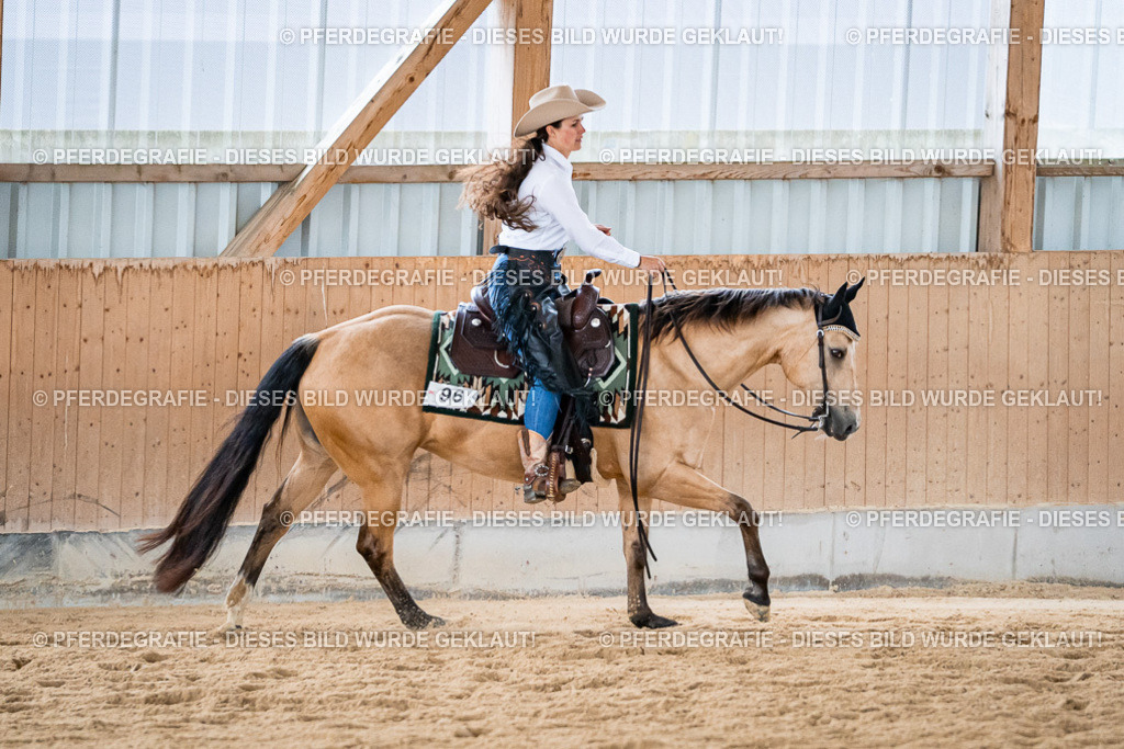 DSC03583 | Pferdegrafie