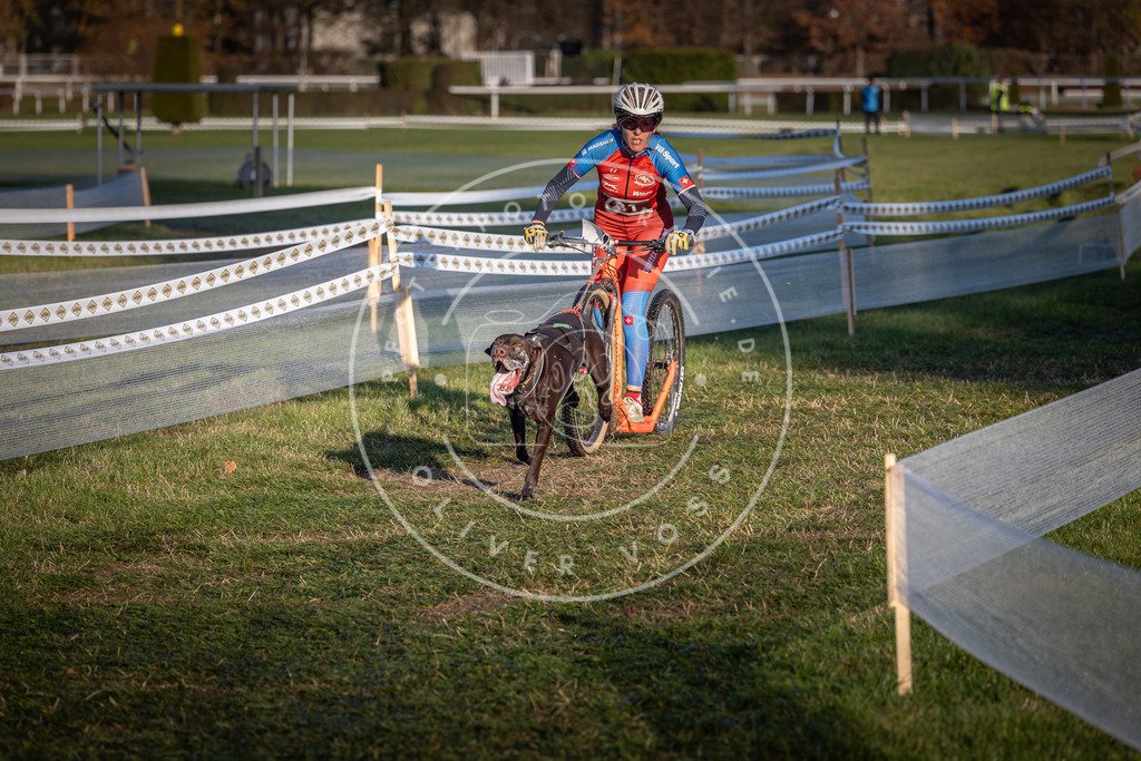 CaniXpix_0L8A3682 | Hundefotografie, Tierfotograf, Pfotenfotografie, Fotoshooting Hund, Hunde Portrait, Hundesport, Hundeportraits, Heideshooting, Hunde, Sportfotograf, Hundefotograf, Turnierhundsport, THS,  - Realisiert mit Pictrs.com