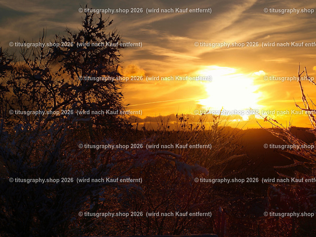 phototitusgraphy Winterimpressionen-Edition 001 | Fotokunstarbeit aus der INSTAGRAM-Gallerie auf titusgraphy.eu - Realisiert mit Pictrs.com
