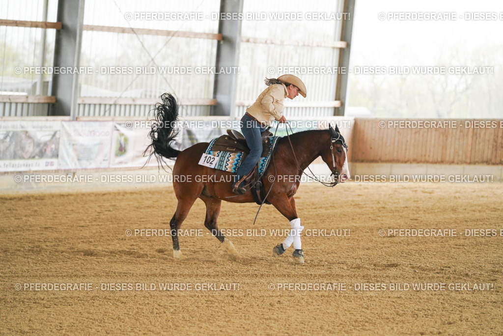 DSC07139 | Pferdegrafie