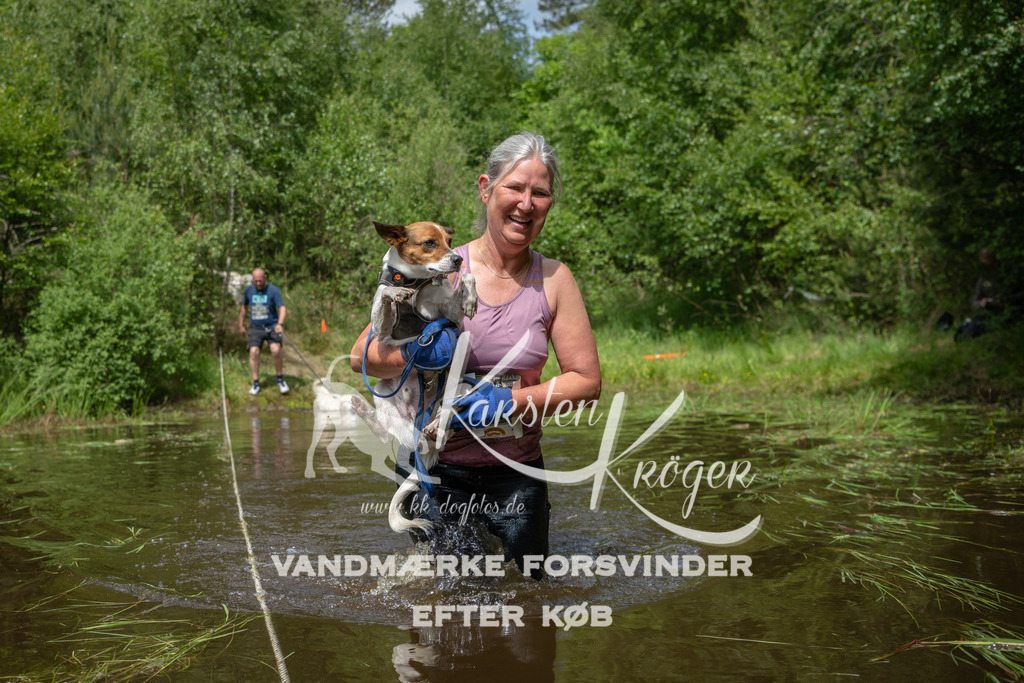 1223DKK992683 | kk-dogfotos