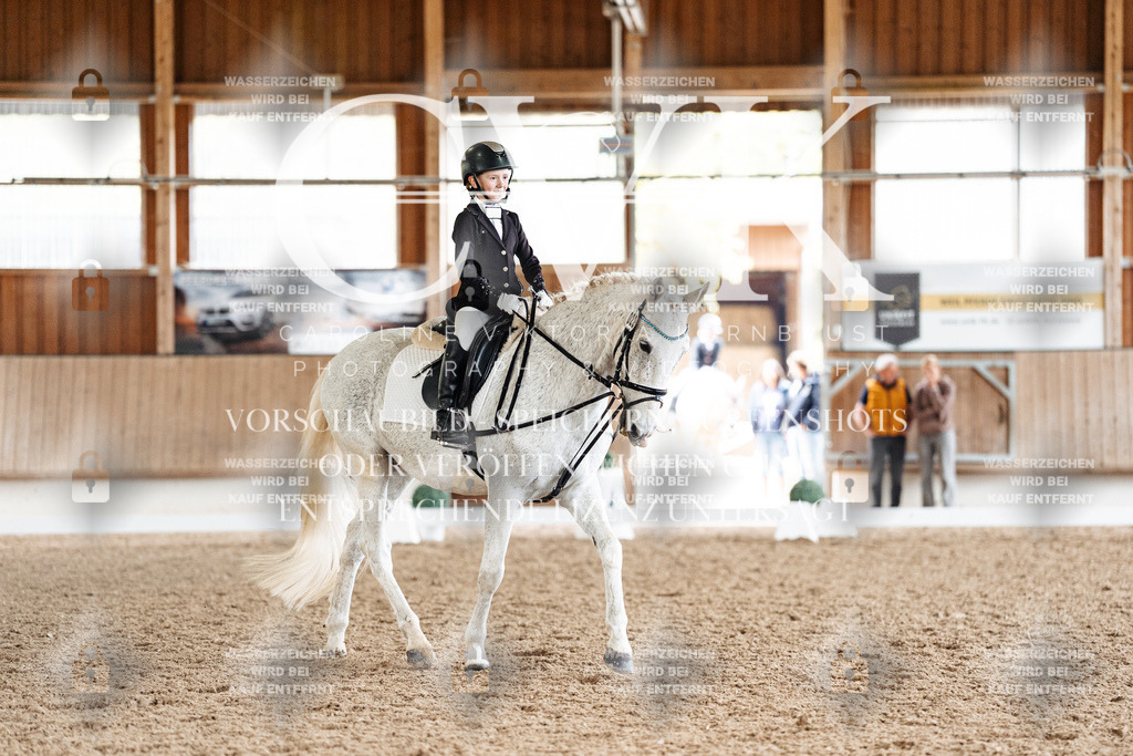 CK900337 | Turnierfotografie Pferdefotografie Trier Rheinland-Pfalz Pferdesport Reitsport Tierfotografie Sportfotografie Pferdevideo Pferdevideografie Equestrianvideography equestrianphotography  - Realisiert mit Pictrs.com