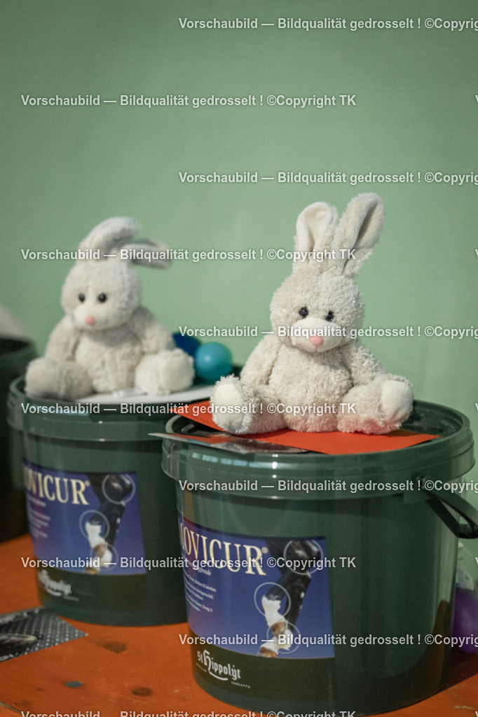 _D5A3732 | Emotionale Pferde- & People-Fotografie rund um Heidelberg, Leimen & Umgebung. Natürliche Fotos von Pferd, Mensch & Familie. Jetzt Termin sichern!