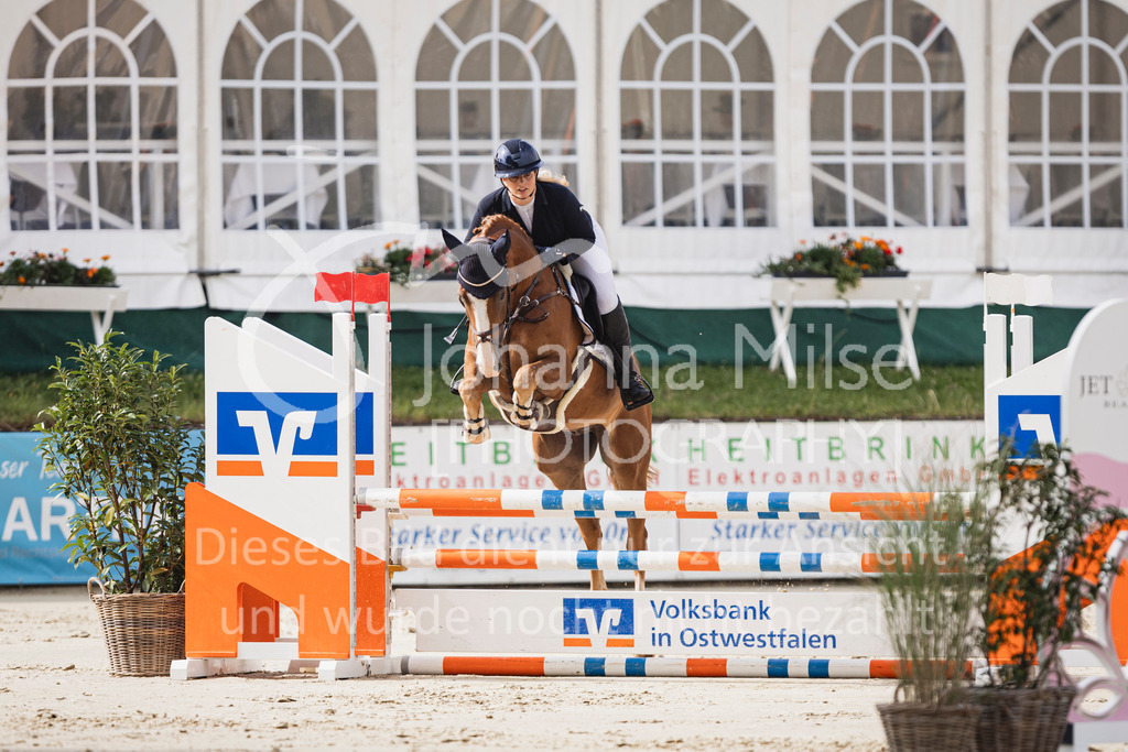 250710_BHO_Stil-A1-1-117 | Deine schönsten Turniermomente als professionelle Fotos! Entdecke hochwertige Pferdesport-Fotografie im Online-Shop. Jetzt Fotos finden & bestellen!