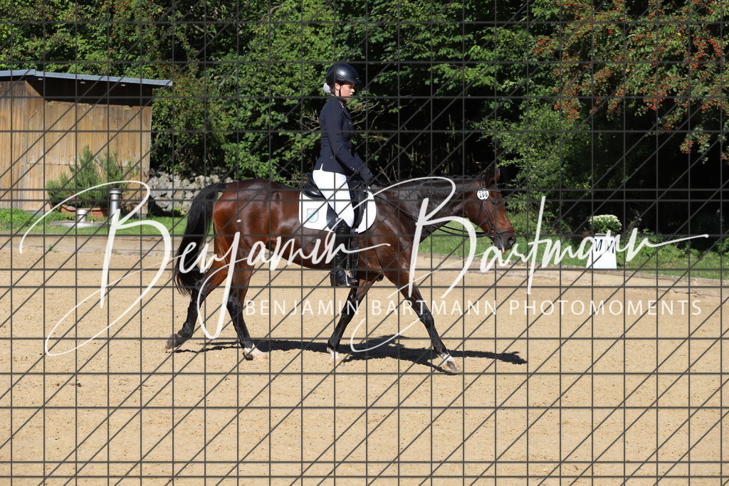 IMG_5332 | Benjamin Bartmann Photomoments