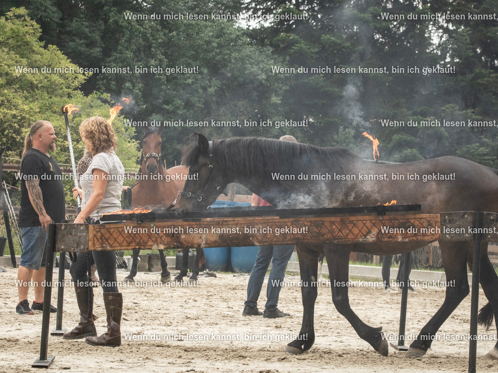 598A7101 | photographylinaismer - Realisiert mit Pictrs.com