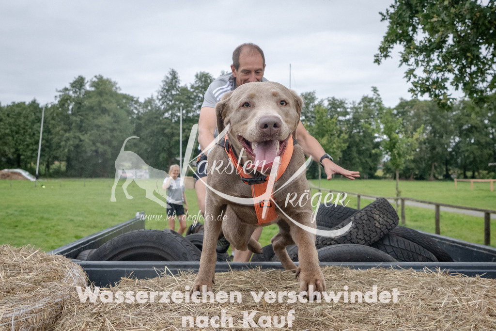 _ZZ91864 | kk-dogfotos