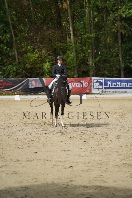 VAN02921 | Marie Giesen Fotografie - Realisiert mit Pictrs.com