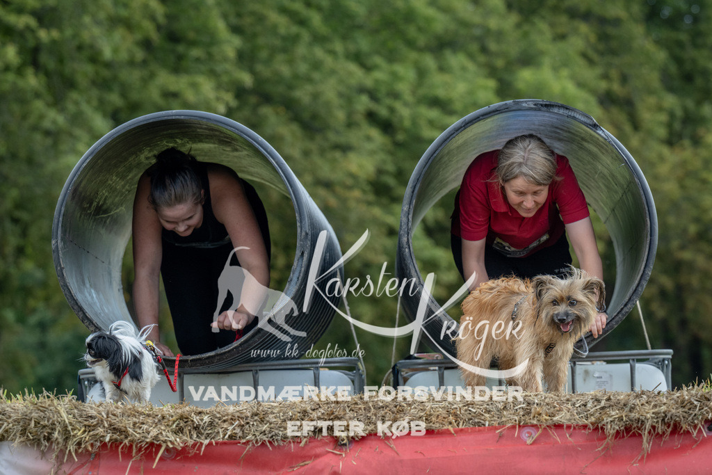 1030_ZZ92292 | kk-dogfotos