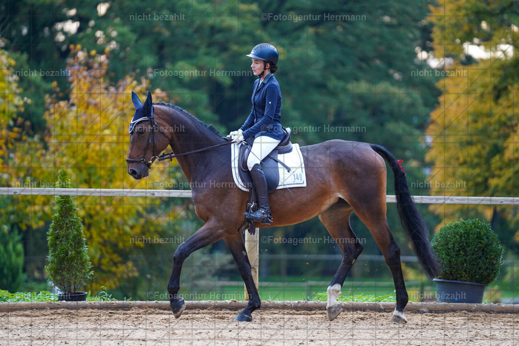 20221008-FAH00716 | Diessen am Ammersee, 2022, Dressur- und Springturnier, Reitsportbilder, Turnierfotografen Bayern, Pferdefotografen, Fotoagentur Herrmann, Turnierbilder