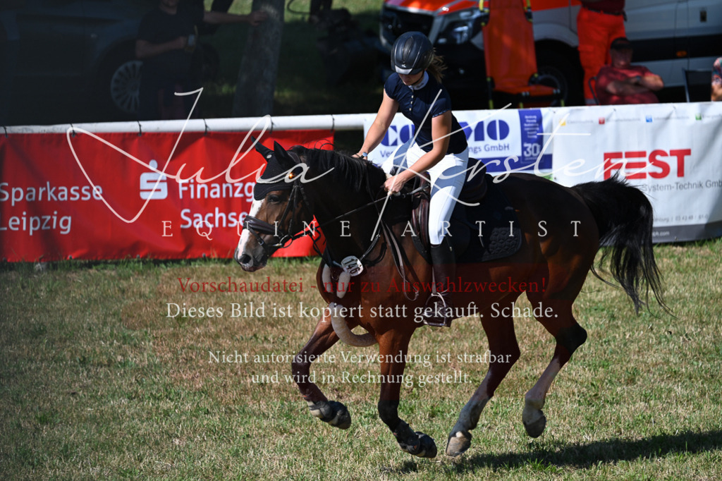DSC_2040 | Pferde- und Turnierfotografie in Westsachsen. Pferdeportraits, Auftragszeichnungen und intuitive Kunst.