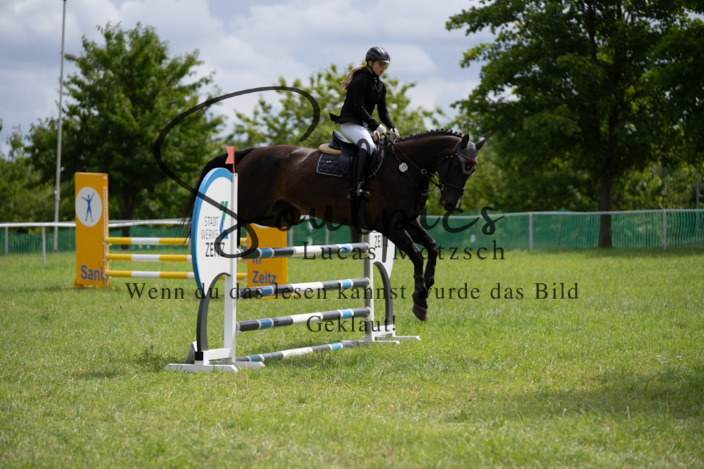 A7V04162 | Turnier/Reitfotograf