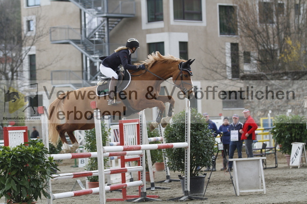 _MG_8464 | equestrian-live-com