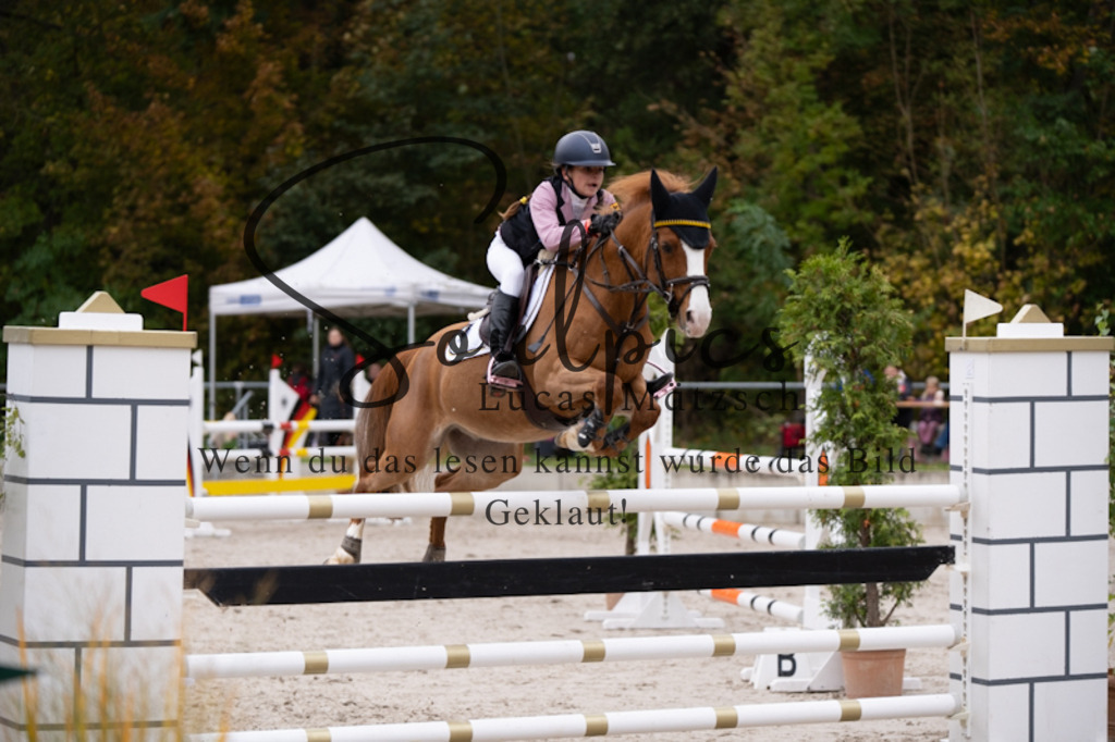 A7V00989 | Pferdefotograf