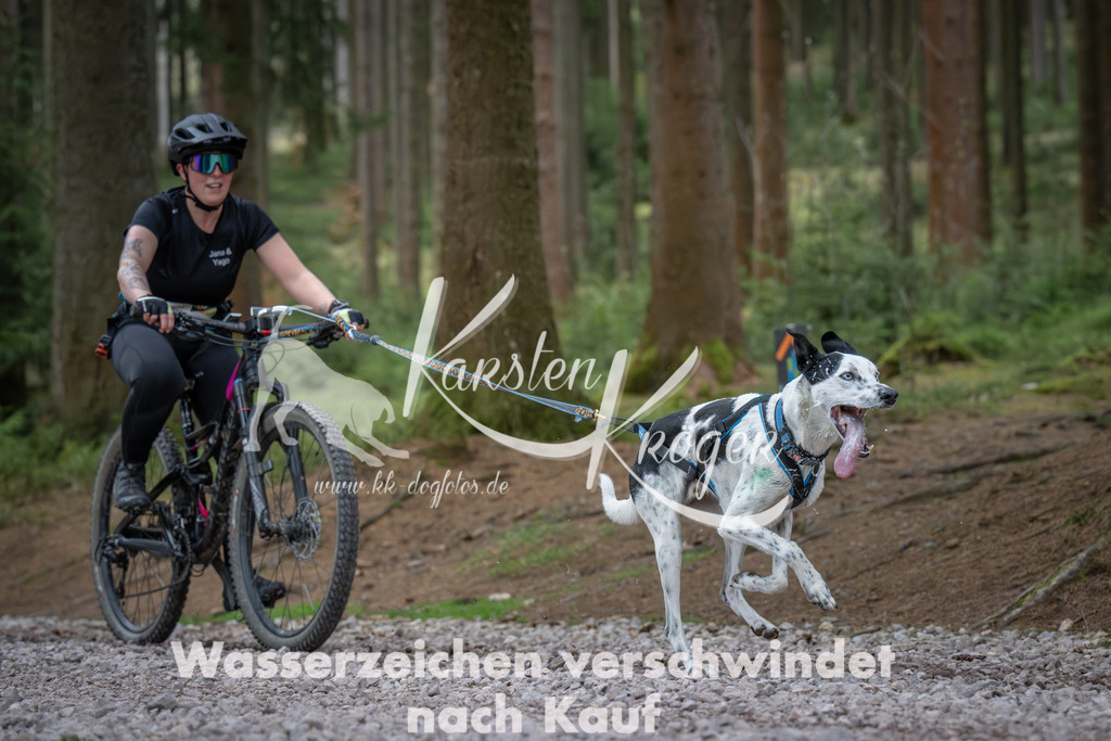 0949_ZZ91993 | kk-dogfotos