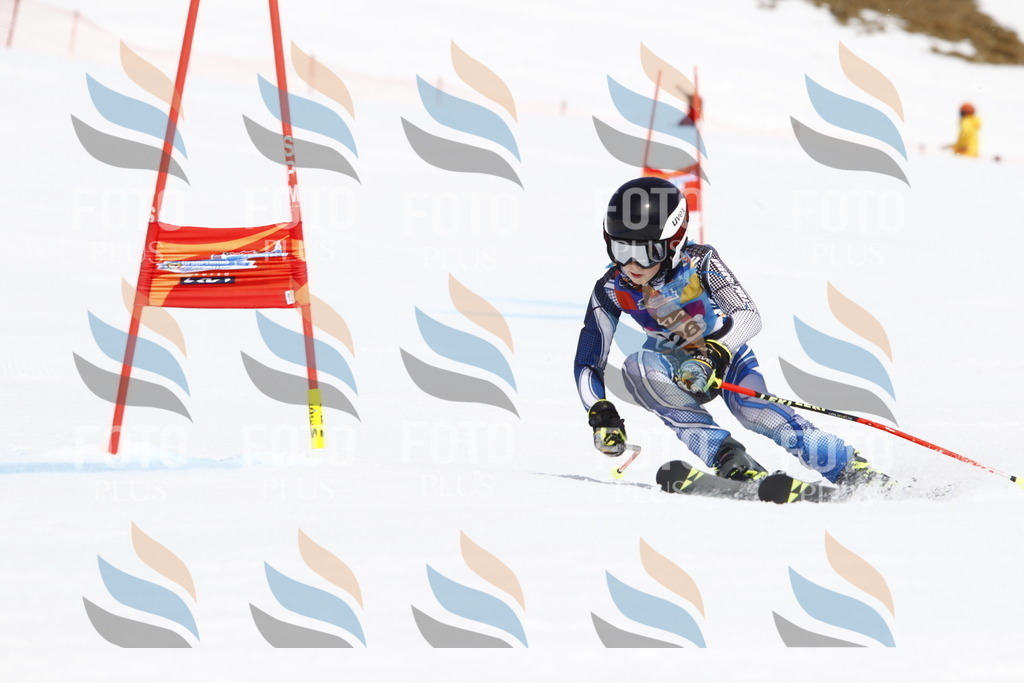 _U3G5886 | holidayphoto