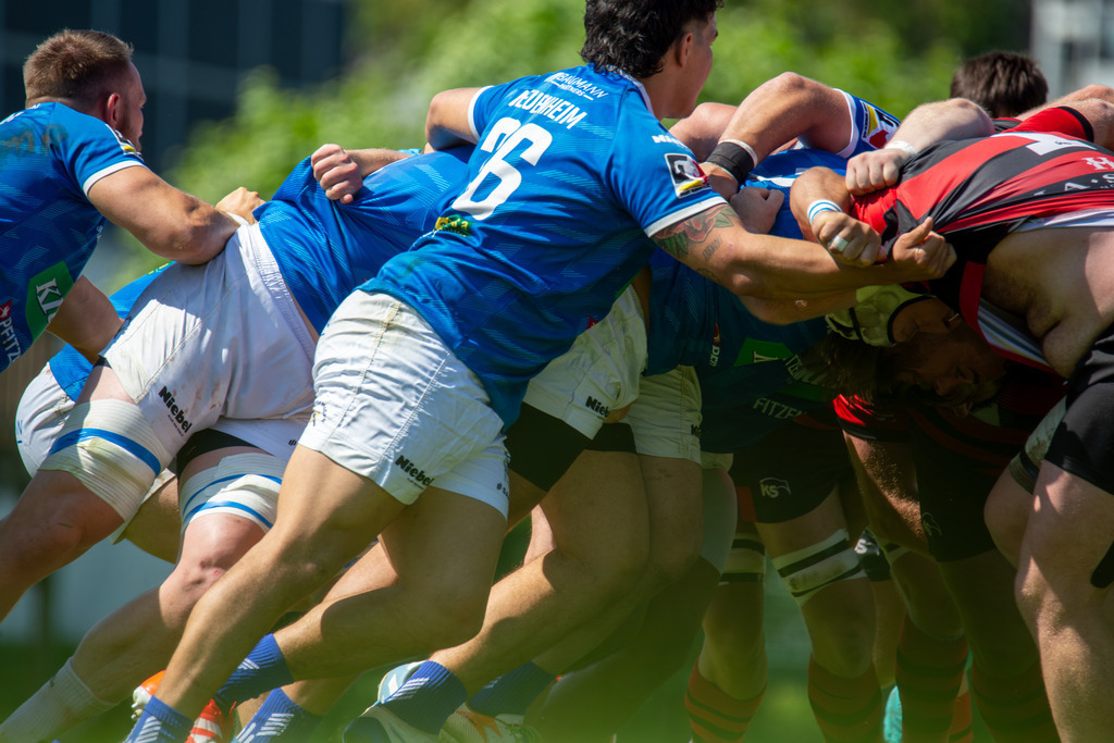 Rugby 1. Bundesliga Süd/West, Saison 2024/25, Finalphase Halbfinale: SC Frankfurt 1880 gegen SC Neuenheim | Rugby 1. Bundesliga Süd/West, Saison 2024/25, Finalphase Halbfinale: SC Frankfurt 1880 gegen SC Neuenheim - Realisiert mit Pictrs.com
