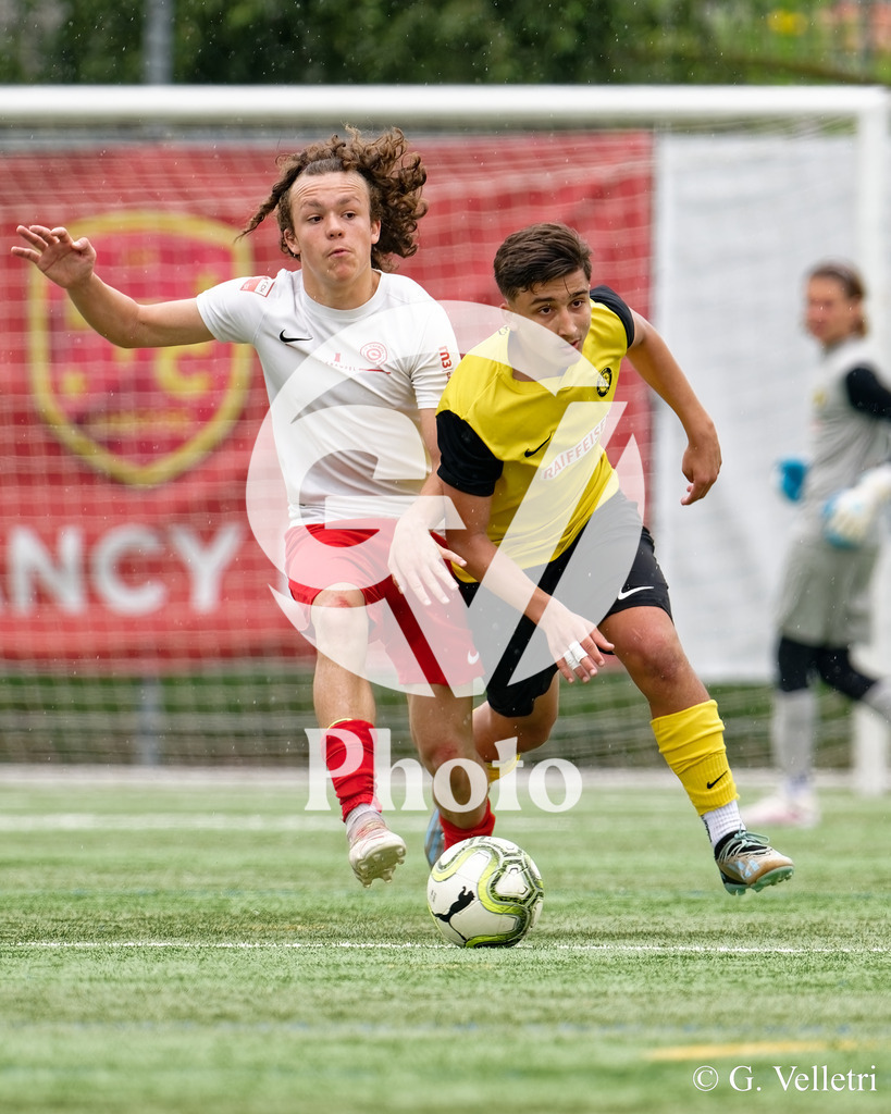 DSC_6941 | Velletri Photo