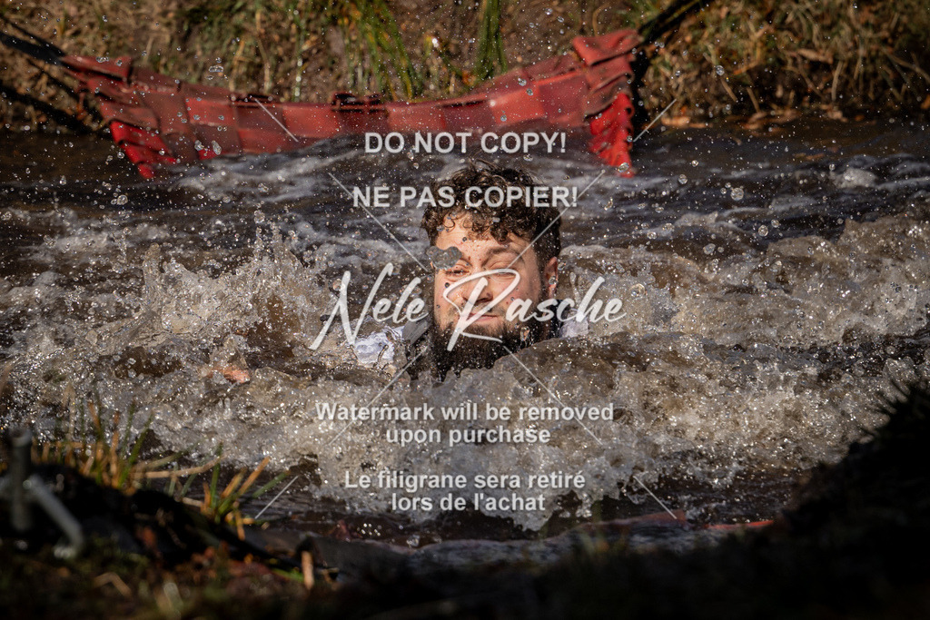nelerasche_FS1100-1145_332 | nelerasche