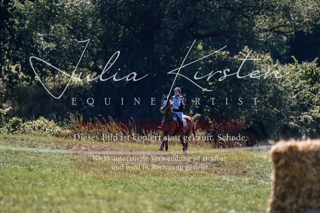DSC_1646 | Pferde- und Turnierfotografie in Westsachsen. Pferdeportraits, Auftragszeichnungen und intuitive Kunst.