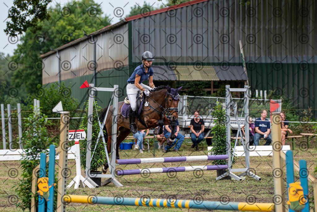 SHT_7715 | andre_photographic