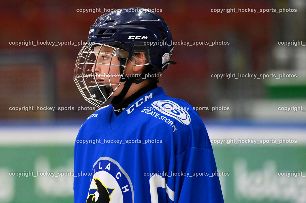 BST_8040 | hockey sports photos, Pressefotos, Sportfotos, hockey247, win 2day icehockeyleague, Handball Austria, Floorball Austria, ÖVV, Kärntner Eishockeyverband, KEHV, KFV, Kärntner Fussballverband, Österreichischer Volleyballverband, Alps Hockey League, ÖFB, 