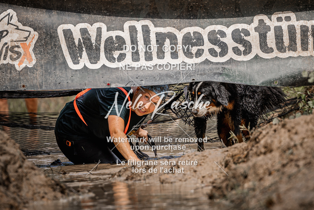 nelerasche_Hoope2026_Sa1230-1300_280 | nelerasche