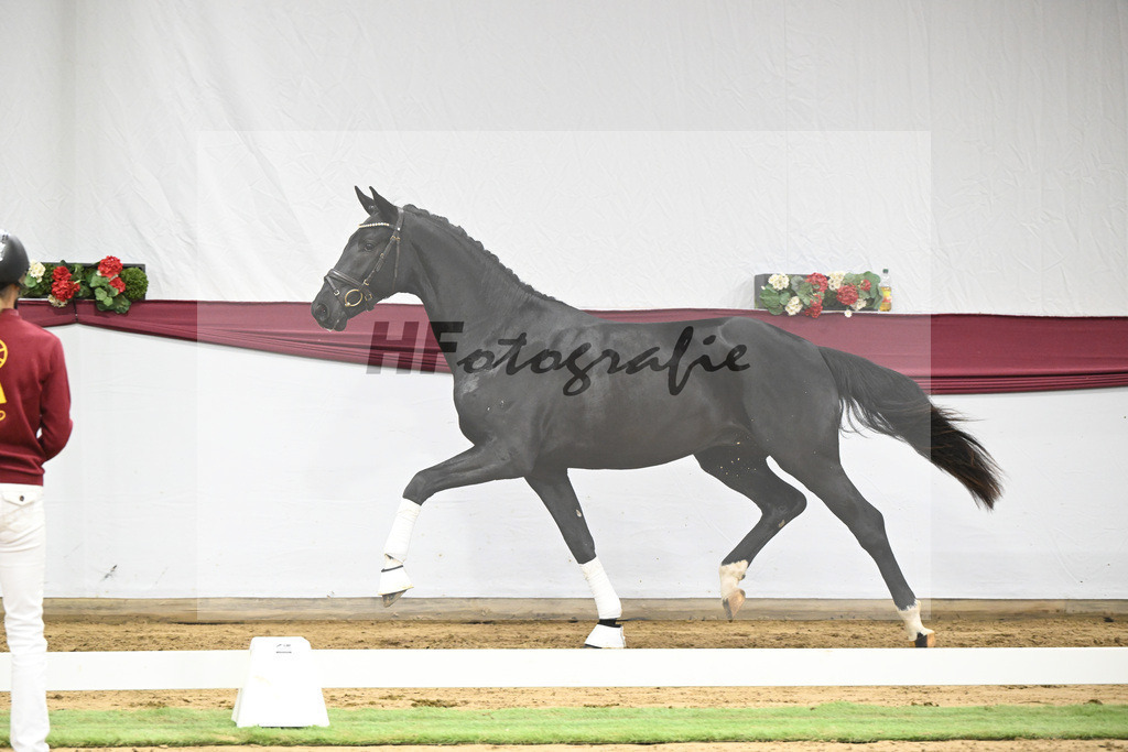 Kat-Nr. 40 Segantini x Fidertanz_Thomas Casper_47251411 | hf-fotografie - Realisiert mit Pictrs.com