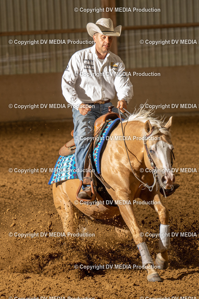 LAU01317 | dv-media-shop - Realisiert mit Pictrs.com