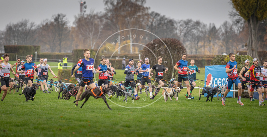 CaniXpix_DV3A9447 | Hundefotografie, Tierfotograf, Pfotenfotografie, Fotoshooting Hund, Hunde Portrait, Hundesport, Hundeportraits, Heideshooting, Hunde, Sportfotograf, Hundefotograf, Turnierhundsport, THS,  - Realisiert mit Pictrs.com