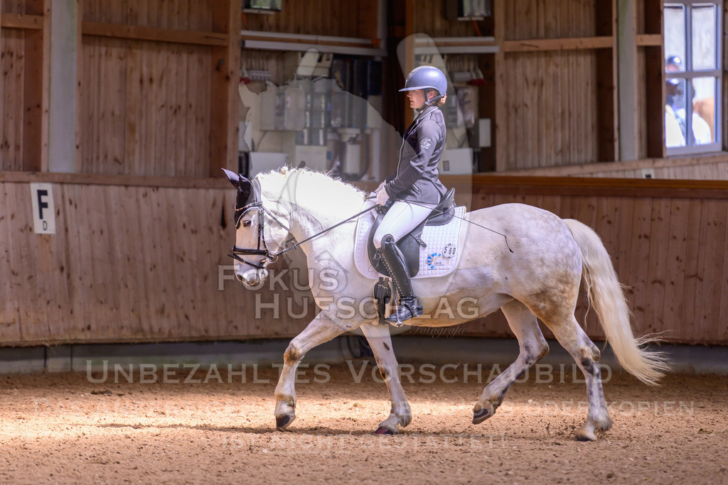 11042026-Mammendorf-Prfg27-0756 | Fokus Hufschlag Fotografie - Realisiert mit Pictrs.com