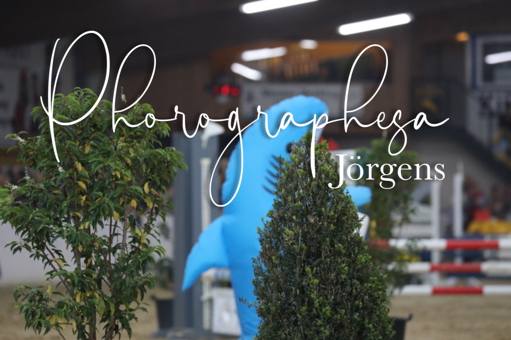 IMG_1889 | photographesa-joergens - Realisiert mit Pictrs.com