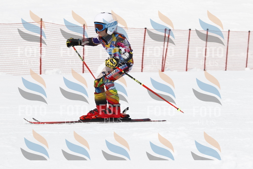 _U3G7747 | holidayphoto