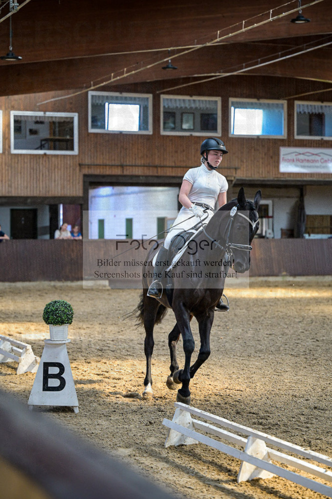 Reitturnier Voxtrup | Entdecke hochwertige Reitturnierfotos von Foto Oger. Professionell, emotional und authentisch – jetzt Lieblingsmomente im Shop bestellen.Deutschlandweite Turnierfotografie. - Realisiert mit Pictrs.com