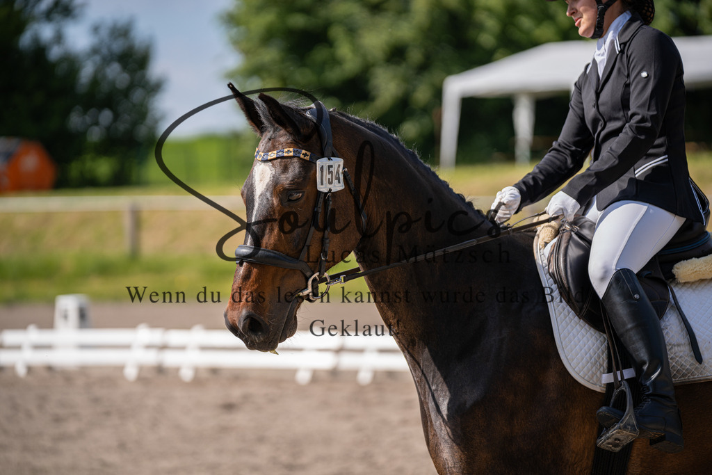 A7V02528 | Pferdefotograf