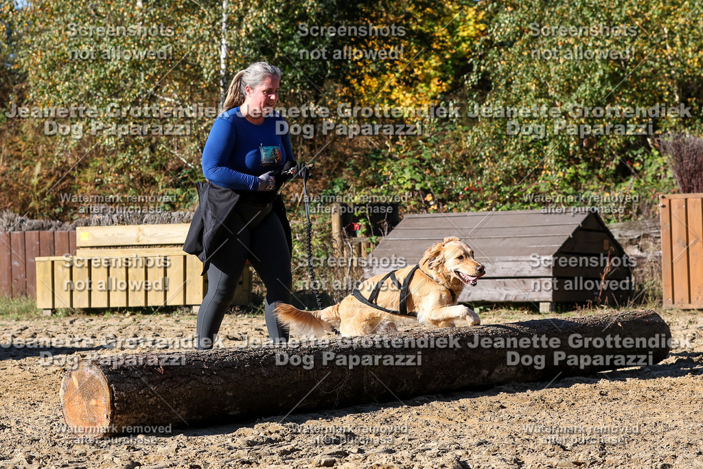 Dog Paparazzi - Strongdog 10-25-2453 | Dog Paparazzi Jeanette Grottendiek Fotografie & Videografie - Realisiert mit Pictrs.com