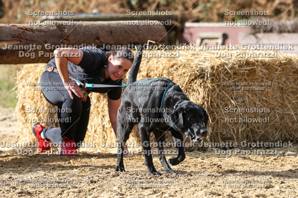 Dog Paparazzi - Strongdog 10-25-5071 | Dog Paparazzi Jeanette Grottendiek Fotografie & Videografie - Realisiert mit Pictrs.com