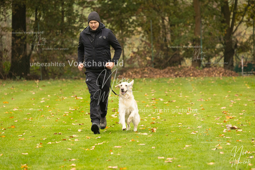 _16A0649 | Einzigartige Fotos von Hunden & Menschen –Actionfotos, Portraits, Vereinsaufnahmen & Paarshootings – authentisch, lebendig & mit Herz.